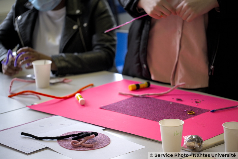Univ-nantes06625_DSF2015.jpg