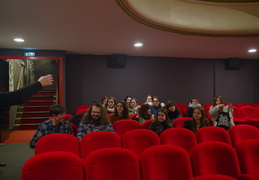 Visite curieuse : Voir un Bergman au Cinématographe