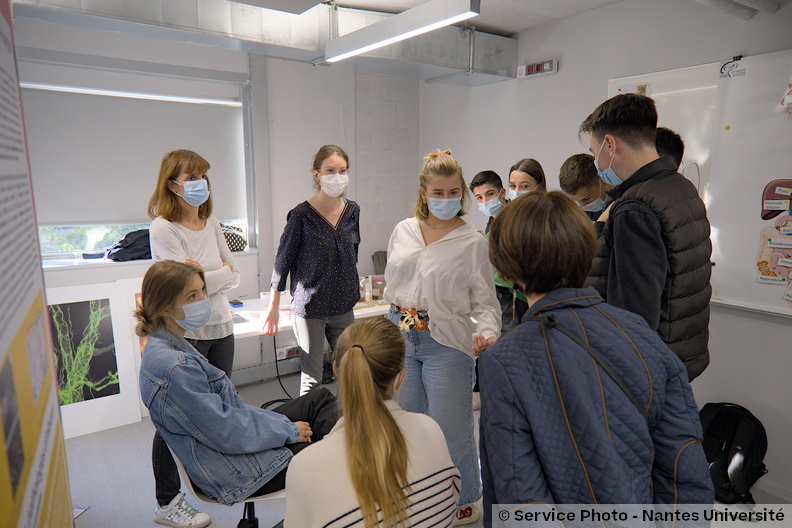 Univ-nantes08737_DSF8283.jpg