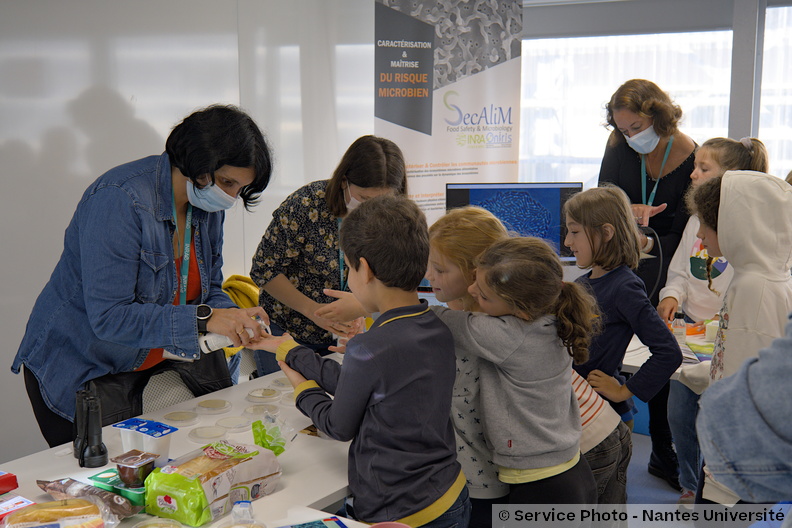 Univ-nantes08787_DSF8404.jpg
