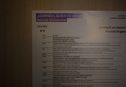 Journées Scientifiques