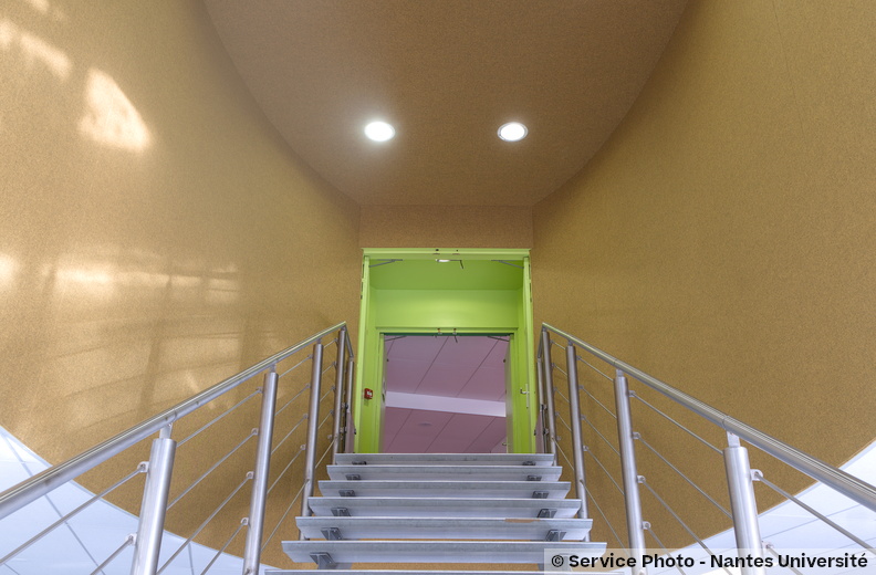 Univ-nantes01754_DSF9113.jpg