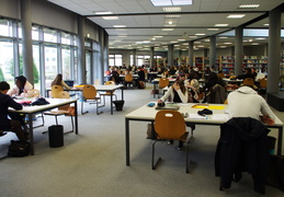 IMGP4273