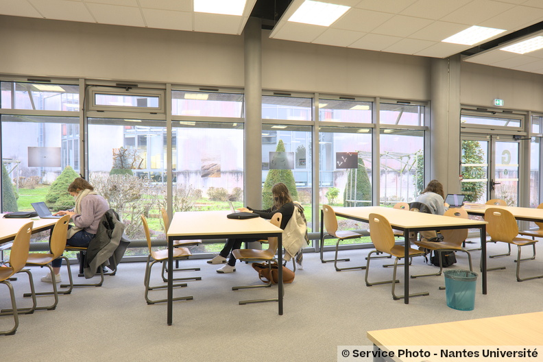 Univ-nantes01094_DSF1263.jpg