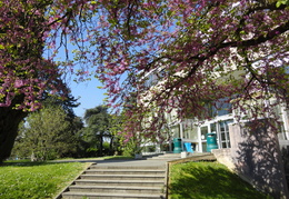 BU Sciences