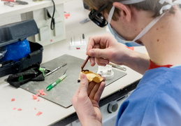 UFR Odontologie