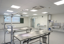 Laboratoire d'Anatomie