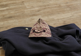 La Licence Géographie et Aménagement