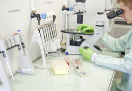 Plates-formes IRS UN : IPSC-DTC