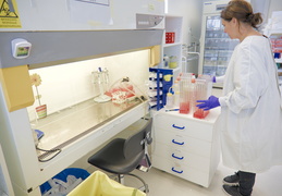 Plates-formes IRS 2 : CPV