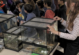 Le Village des sciences de Nantes à Centrale Nantes