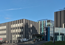 Rimbaud, perché sur le campus Tertre