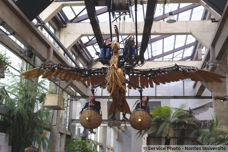 Univ-nantes24077_DSF0518.jpg