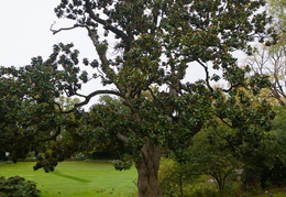 Sentier Botanique