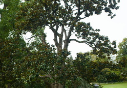 Sentier Botanique