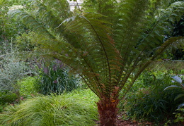 Sentier Botanique