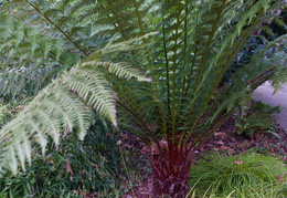 Sentier Botanique