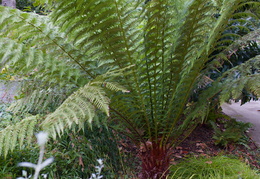 Sentier Botanique