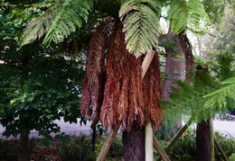 Sentier Botanique