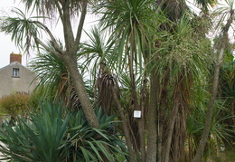 Sentier Botanique