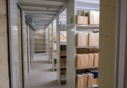 BU Sciences