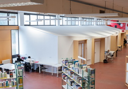 BU Sciences