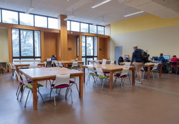 BU Sciences