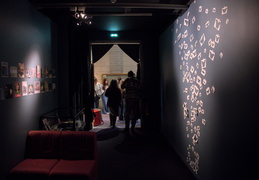 Visite Curieuse