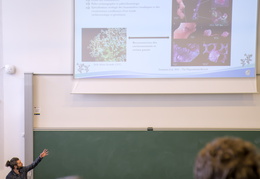 Laboratoire de Planétologie et Géosciences