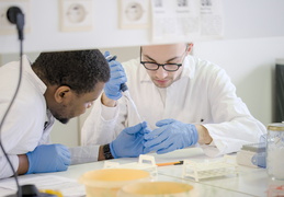 Département Biologie