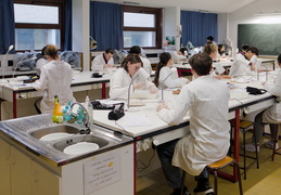 Département Biologie