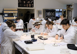 Département Biologie