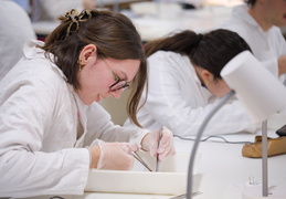 Département Biologie