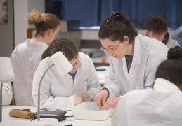 Département Biologie