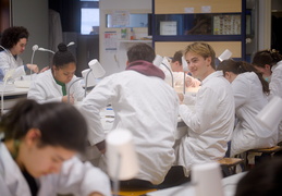 Département Biologie