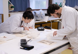 Département Biologie