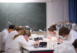 Département Biologie