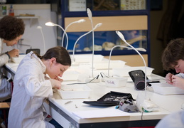 Département Biologie