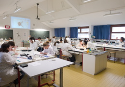 Département Biologie