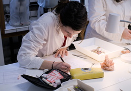 Département Biologie