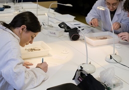 Département Biologie
