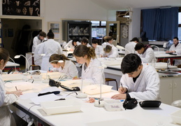 Département Biologie