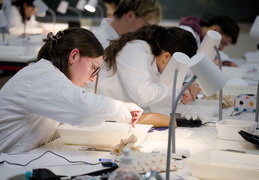 Département Biologie