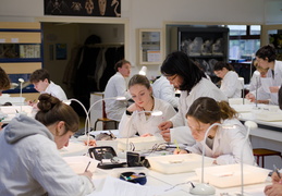 Département Biologie