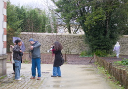 Photo et composition d'images
