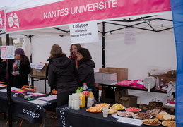 Nantes Université - ODYSSÉA