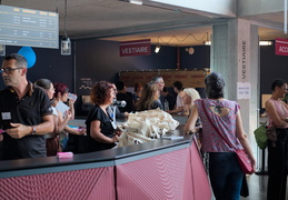 Diplômé·e·s BUT DUT LP années 2021-2024