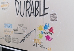 de Nantes Université