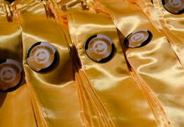 Novembre - Cérémonie des diplômes de Polytech Nantes